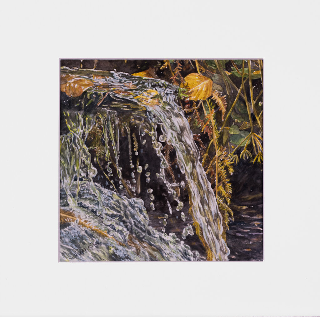 Aquarelles Véronique Schrenck Frenchy Pictures