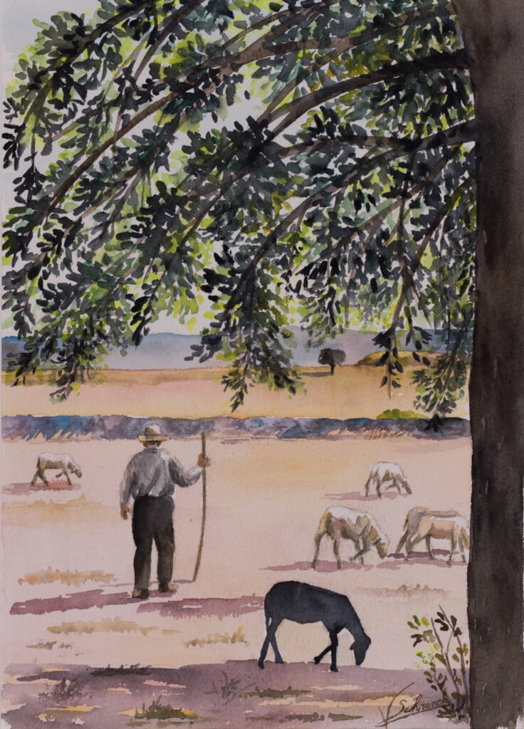 Véronique Schrenck - Frenchy Picture Aquarelle