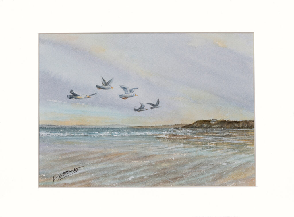 Véronique Schrenck - Frenchy Picture Aquarelle