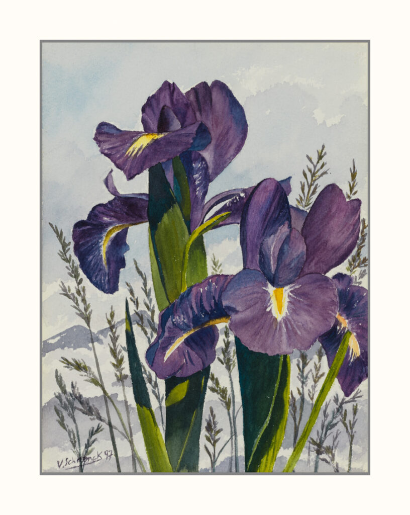 Véronique Schrenck - Frenchy Picture Aquarelle