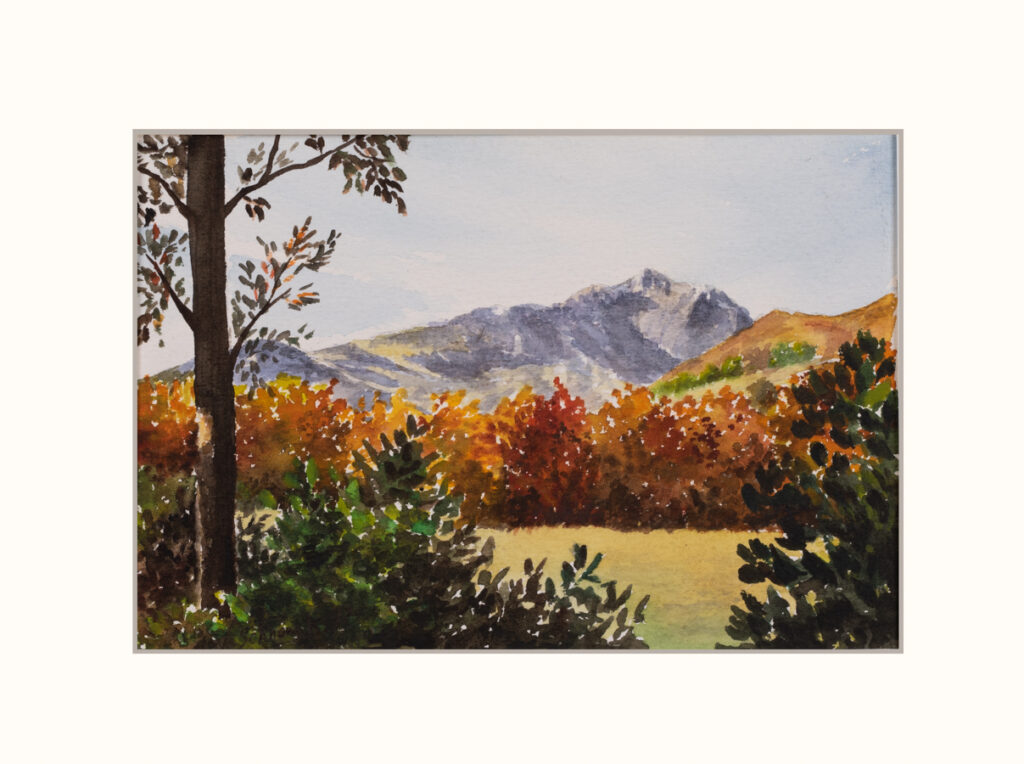 Véronique Schrenck - Frenchy Picture Aquarelle
