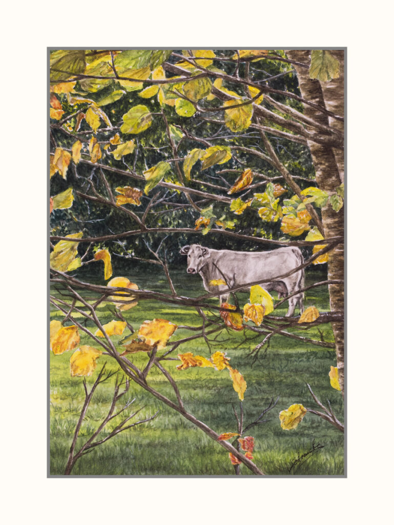 Véronique Schrenck - Frenchy Picture Aquarelle