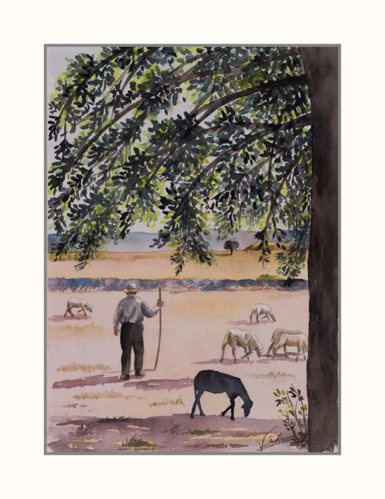 Véronique Schrenck - Frenchy Picture Aquarelle